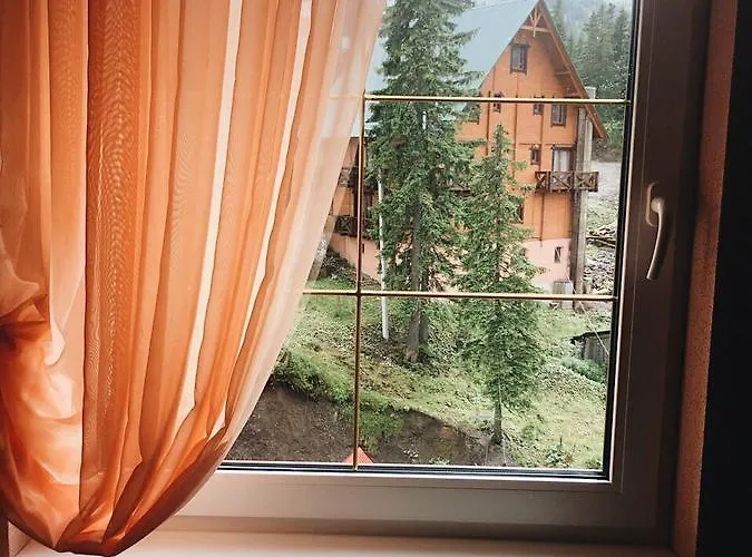 Hotel Crocus *